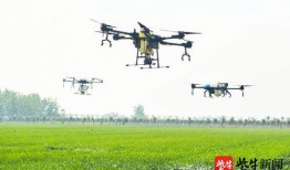 河北无人机爆料视频播放,视频揭秘城市高空视角