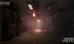 黎明觉醒庄园爆料视频播放,揭秘神秘庄园的奇幻之旅